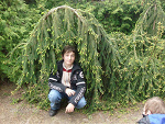 Fotoblog matislawa