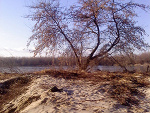 Fotoblog bywazielono