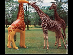 Fotoblog massdnm1990