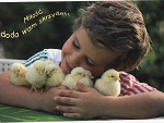 Fotoblog sernik1234