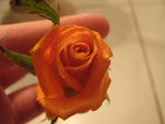 Fotoblog aanymore
