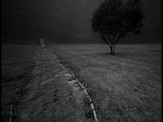 Fotoblog azyl15