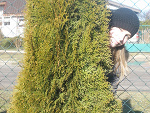 Fotoblog max0011