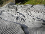 Fotoblog fantaaazja