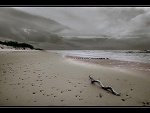 Fotoblog thewhitewolf