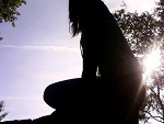 Fotoblog whitebear