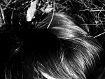 Fotoblog adrianna660