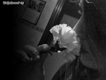 Fotoblog tequieroox33