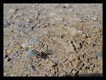 Fotoblog loiz