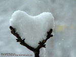 Fotoblog loveeforeverrr