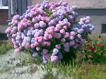Fotoblog 30121954