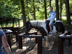 Fotoblog rolnik89