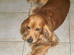 Fotoblog misiek8p