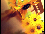 Fotoblog kin89