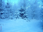 Fotoblog marly31