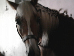 Fotoblog xdkasiaa