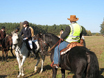 Fotoblog rumakoholiczka