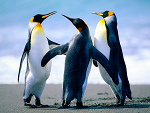 Fotoblog mividaxd