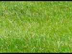 Fotoblog morgaesin