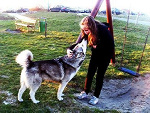 Fotoblog blafuflafufla