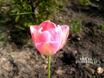 Fotoblog xkina