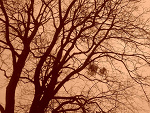 Fotoblog ewus100