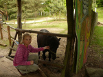 Fotoblog alssi