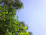 Fotoblog karii98
