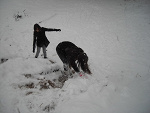 Fotoblog ognistawoda
