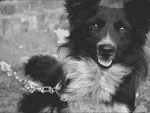 Fotoblog bezokolicznik