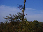 Fotoblog inspiracjones