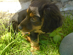 Fotoblog mizeryja