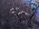Fotoblog wtfxmyxbabe