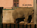 Fotoblog 3styczen