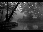 Fotoblog klaudusia3