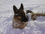 Fotoblog diana66