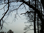 Fotoblog cyska12