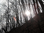 Fotoblog foreeveryoung