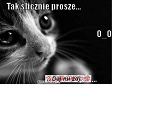 Fotoblog luki519