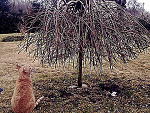 Fotoblog bunia389