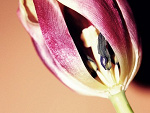 Fotoblog szpocia