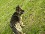 Fotoblog ann2202