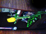 Fotoblog whynnoot