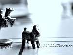 Fotoblog rasperryy