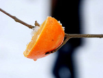 Fotoblog swiatlowjejoczach