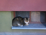 Fotoblog prabuciak