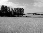 Fotoblog marvelouscrime