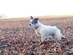 Fotoblog tuska1297
