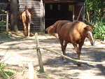 Fotoblog olczass
