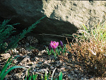Fotoblog mklr